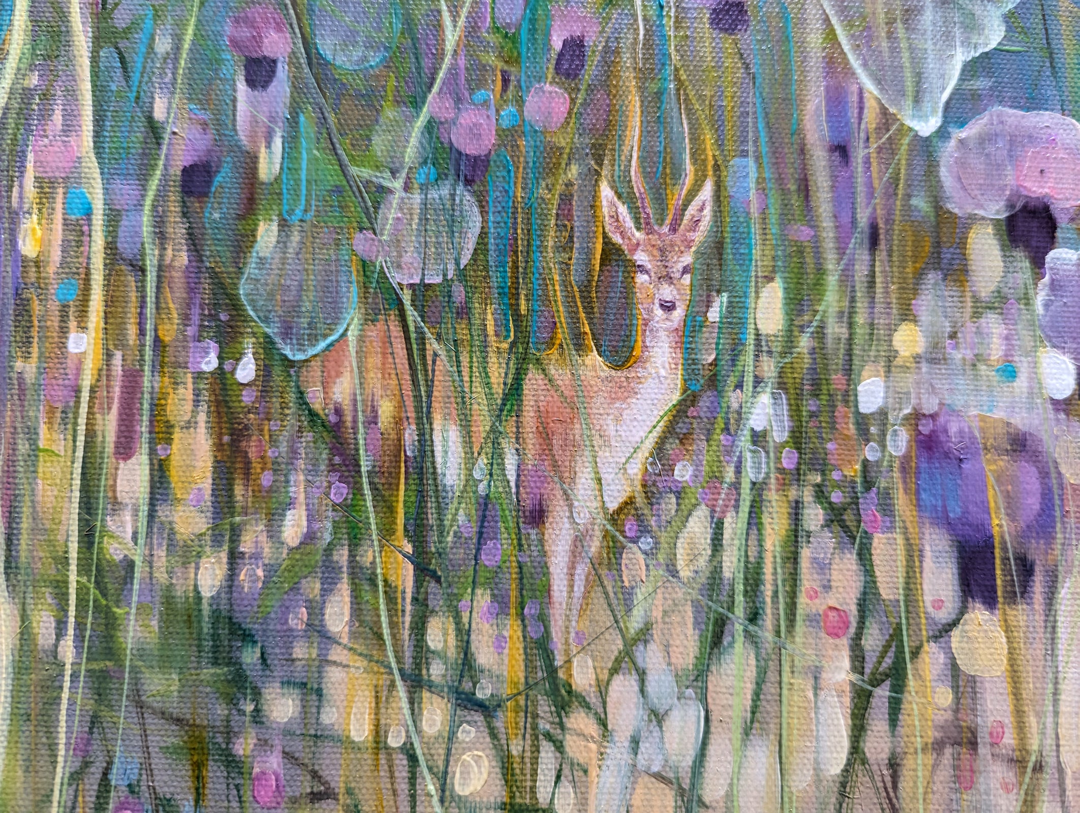 Midsummer Witness