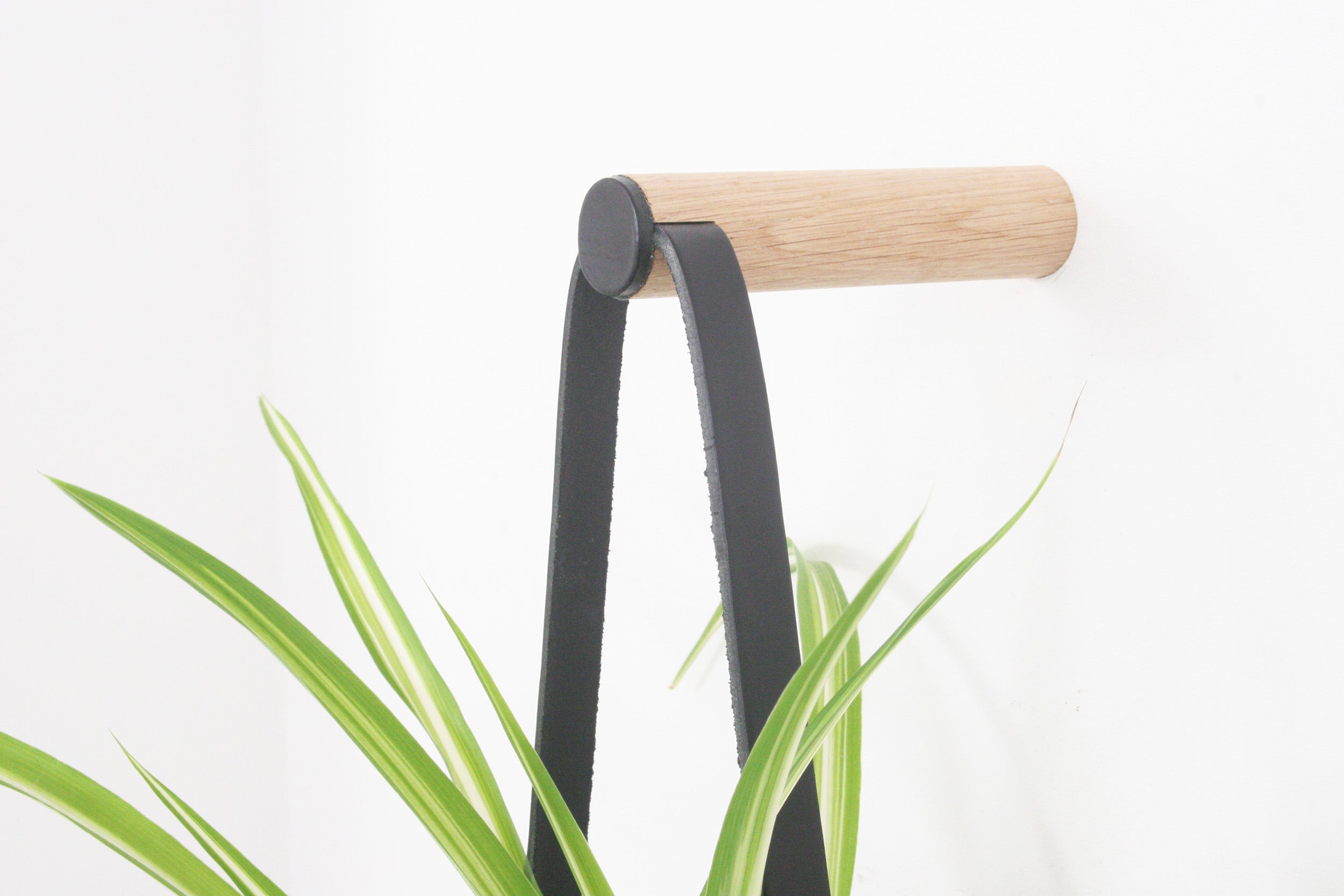 Medium Peg Wall Planter Black