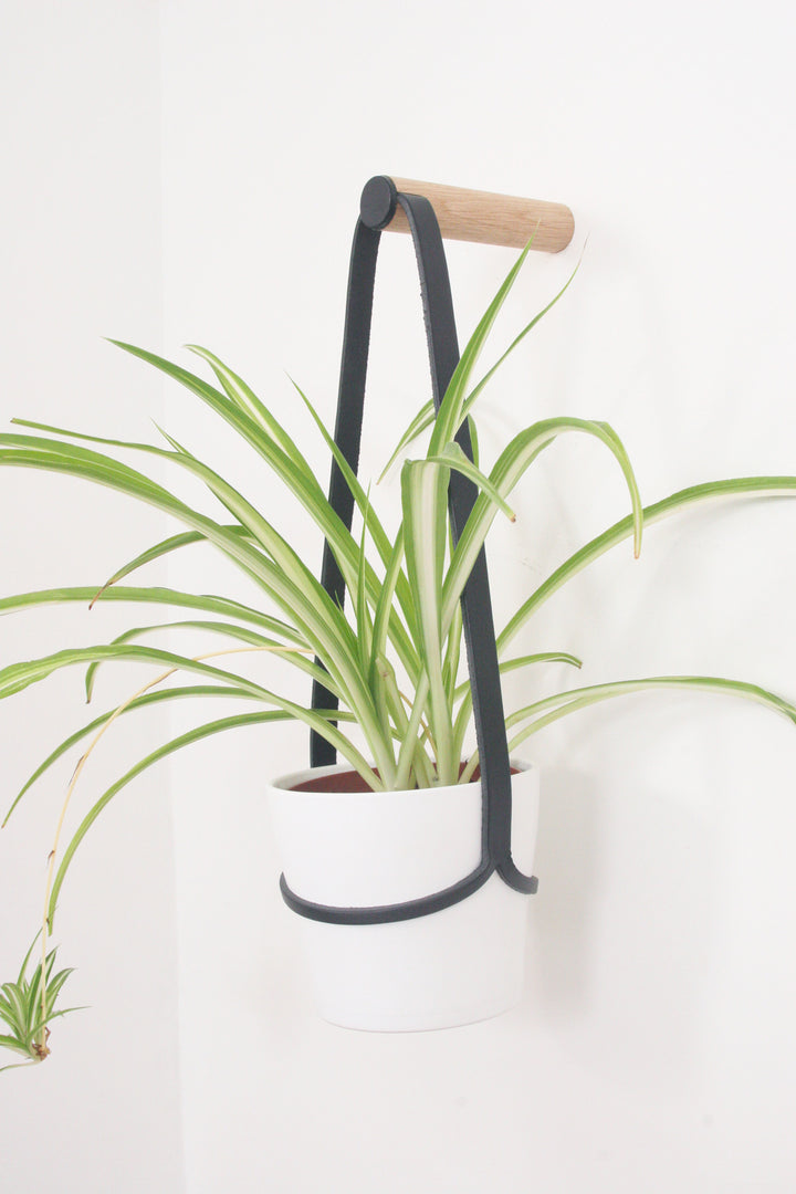 Medium Peg Wall Planter Black