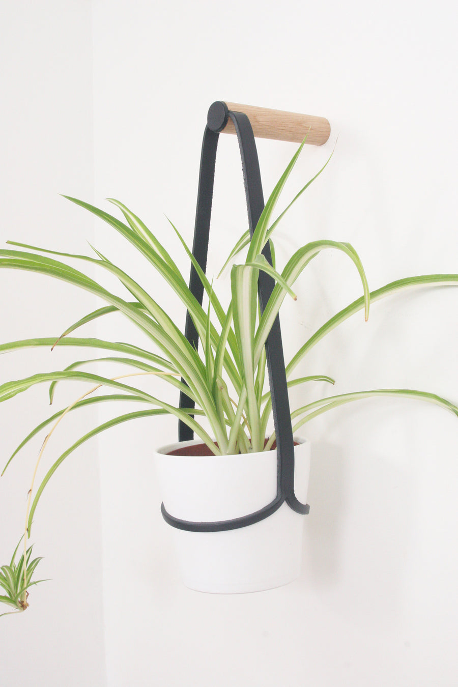 Medium Peg Wall Planter Black