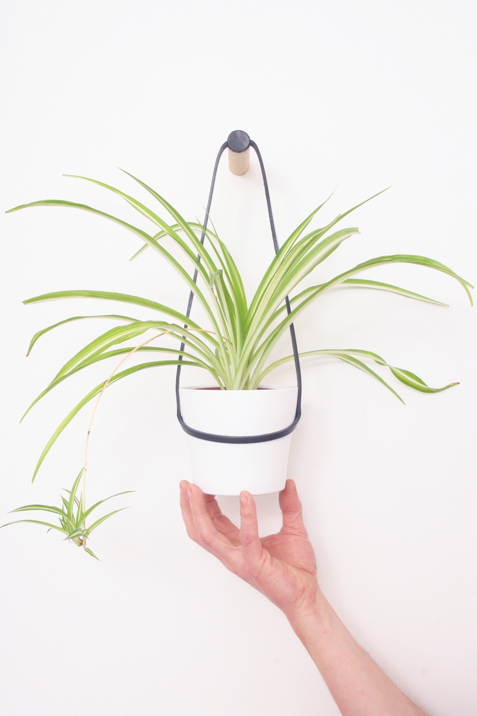 Medium Peg Wall Planter Black
