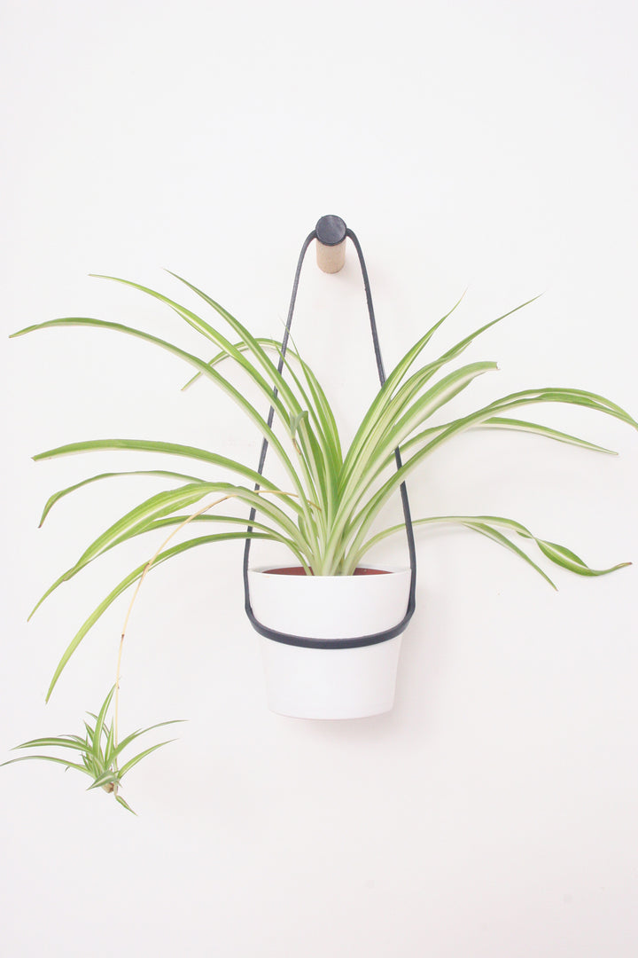 Medium Peg Wall Planter Black