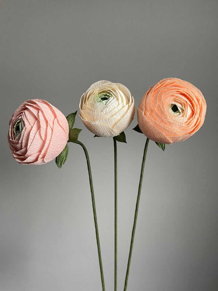 Cream, Pink and Peach Ranunculus