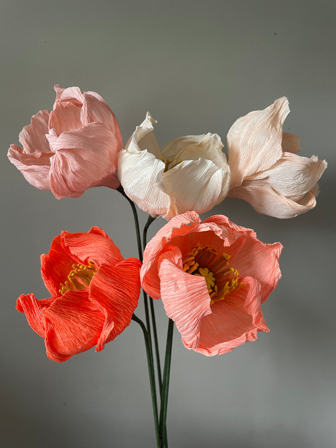 Five Flower Mixed Poppies.