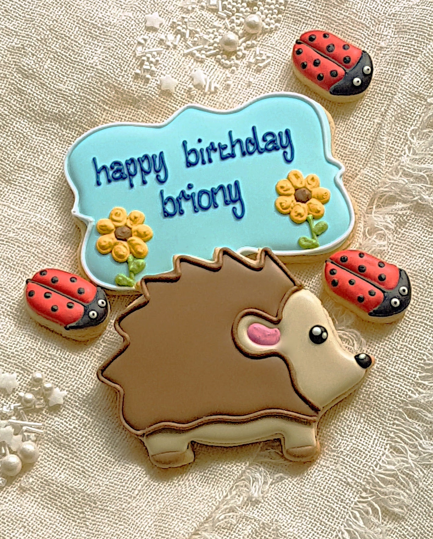 Hand-iced Personalised Hedgehog Cookie LETTERBOX GIFT