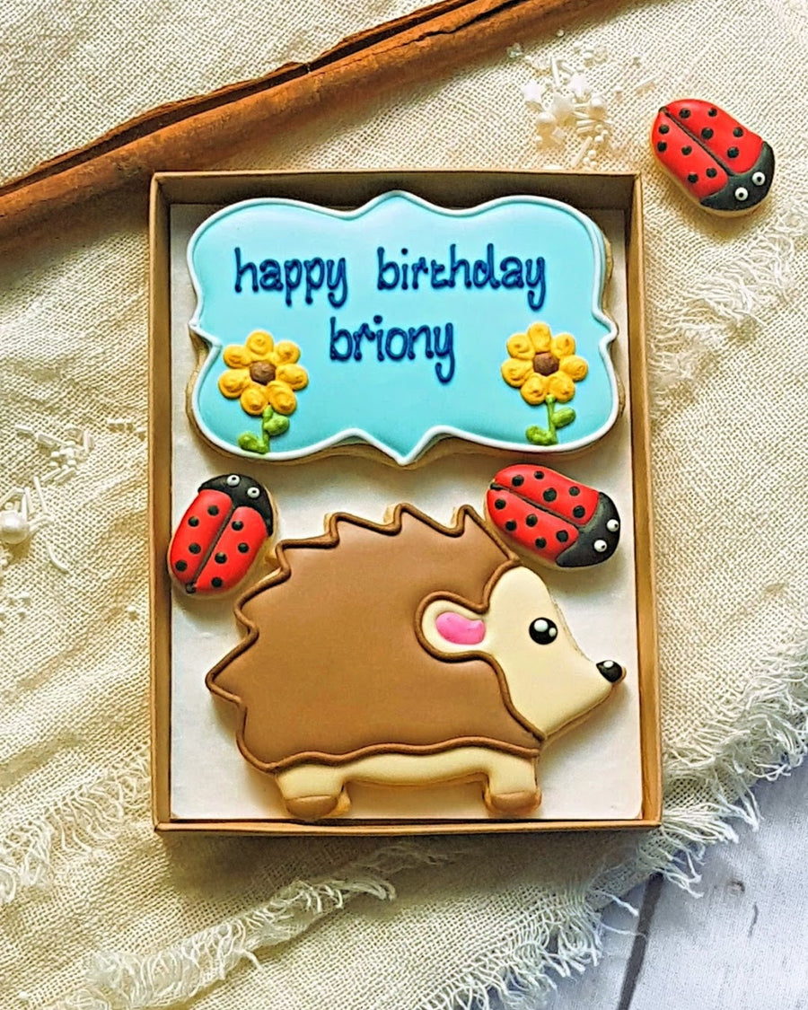 Hand-iced Personalised Hedgehog Cookie LETTERBOX GIFT