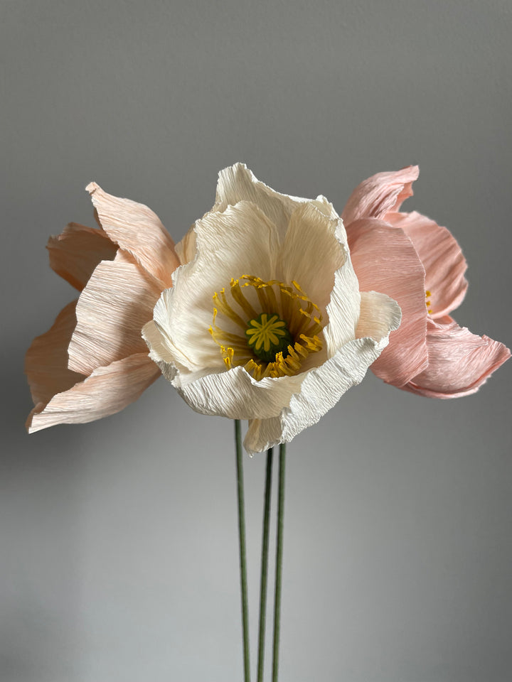 Cream, Pink and Peach Poppies