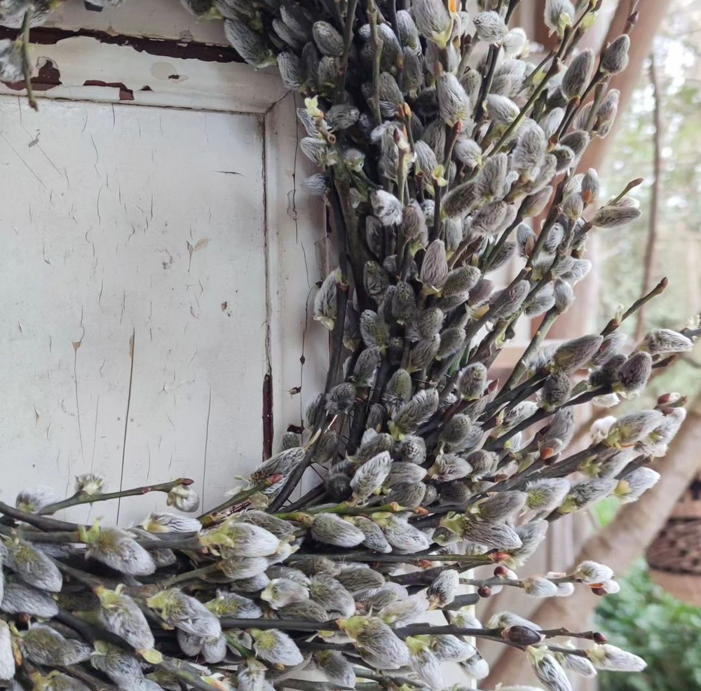 Spring Pussy Willow Easter Wreath