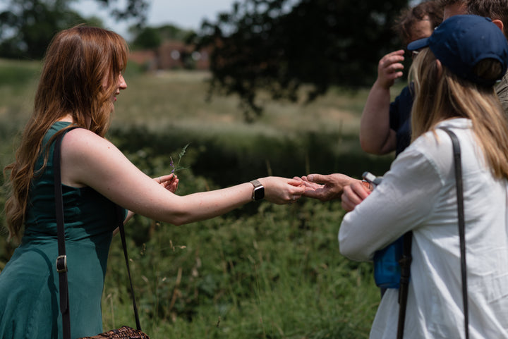 Spring Guided Foraging Walk