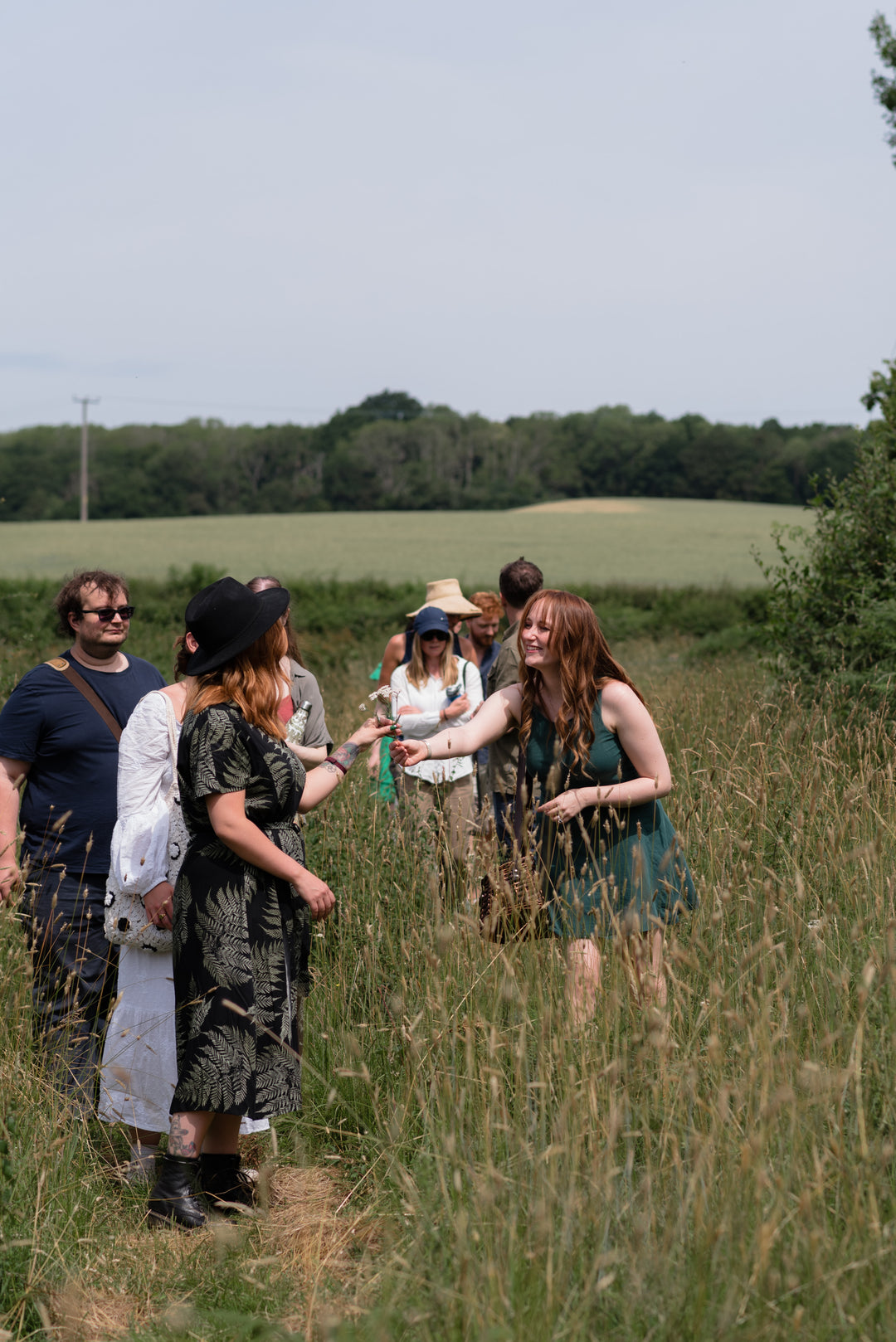 Spring Guided Foraging Walk