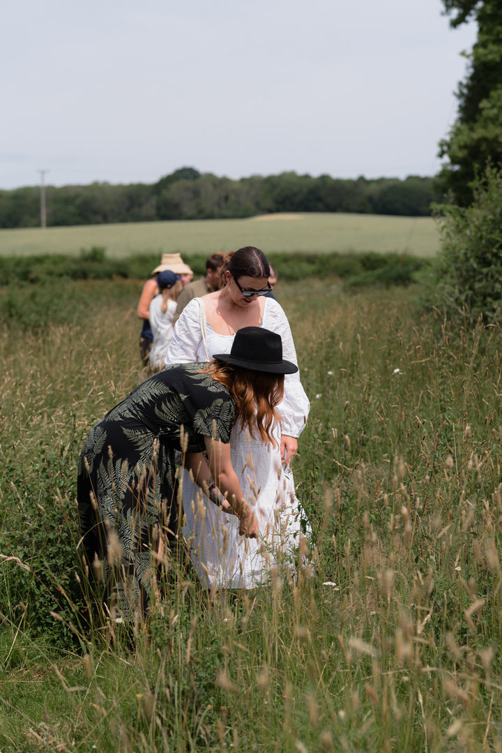 Springtime Foraging Workshop