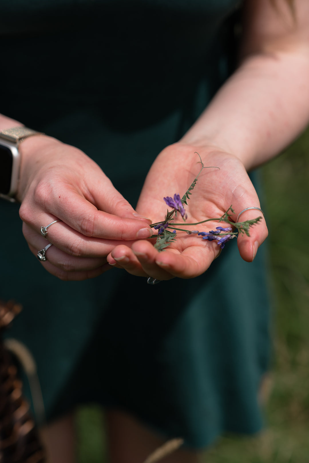 Springtime Foraging Workshop