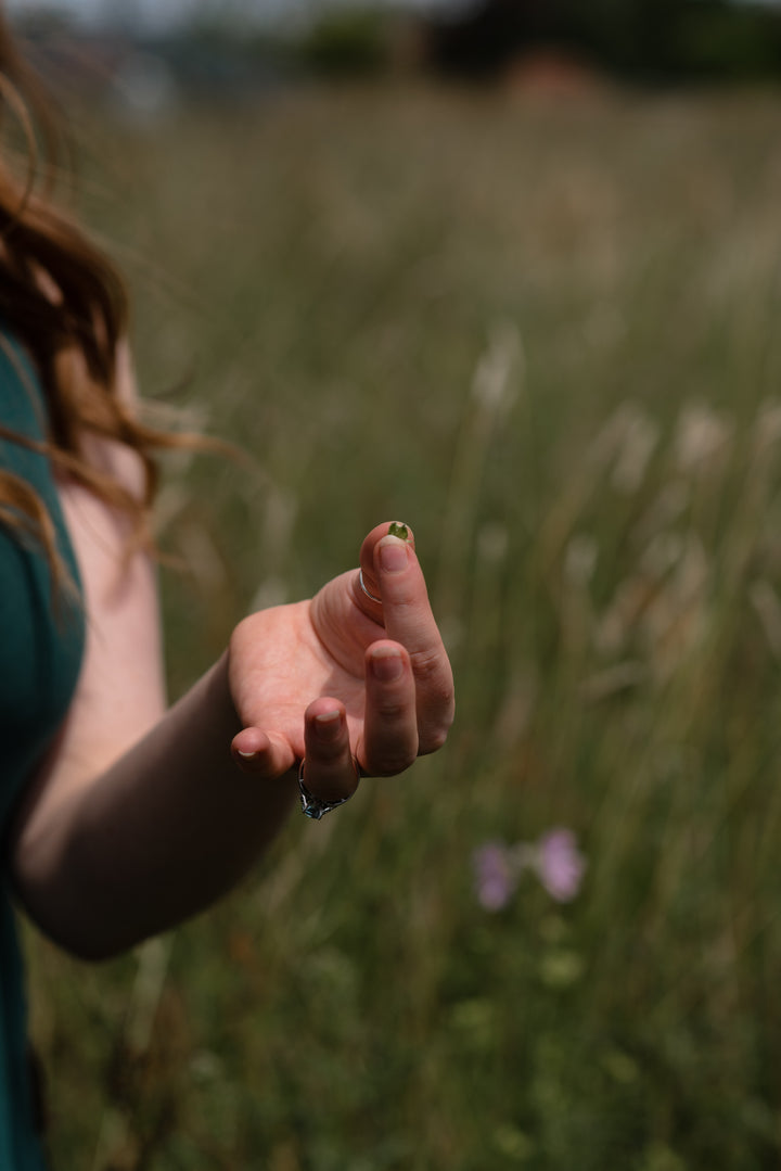 Springtime Foraging Workshop