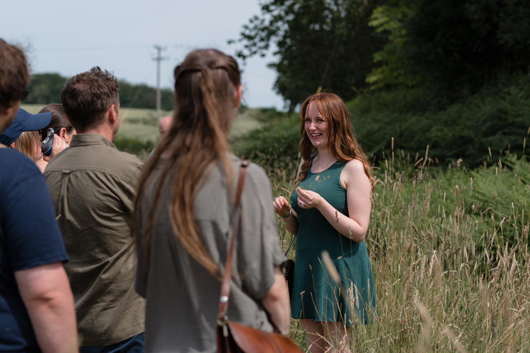 Springtime Foraging Workshop