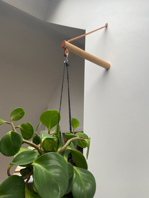 Peg Plant Hanger