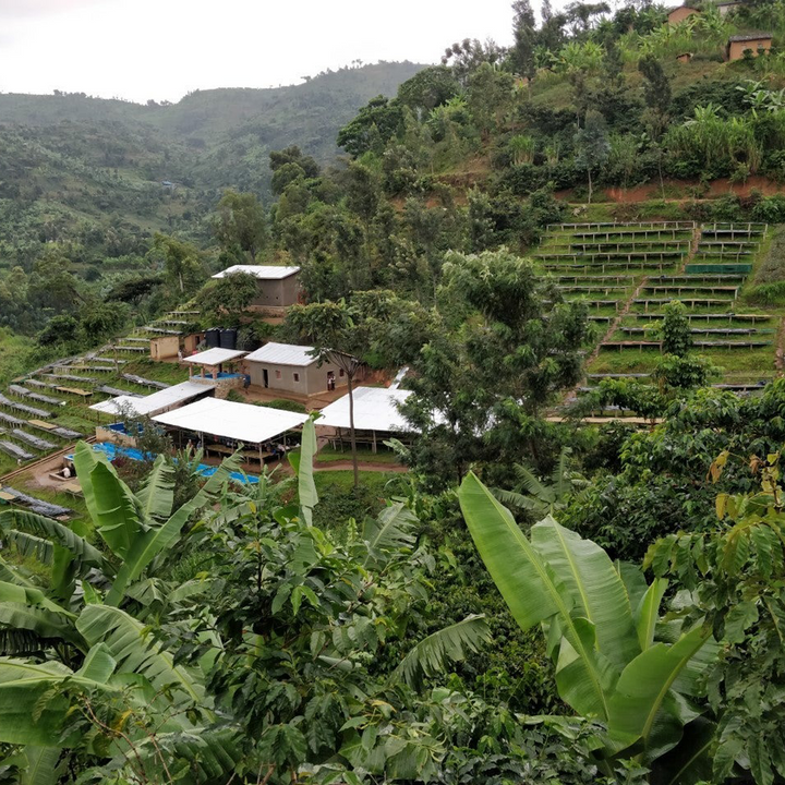 Bugoyi Patrick, Rwanda