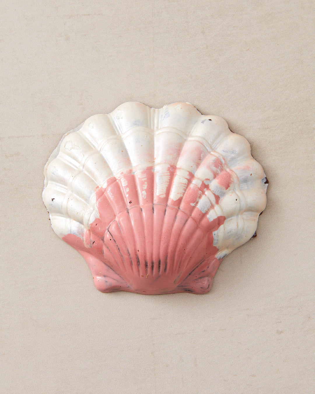 Chocolate Scallop