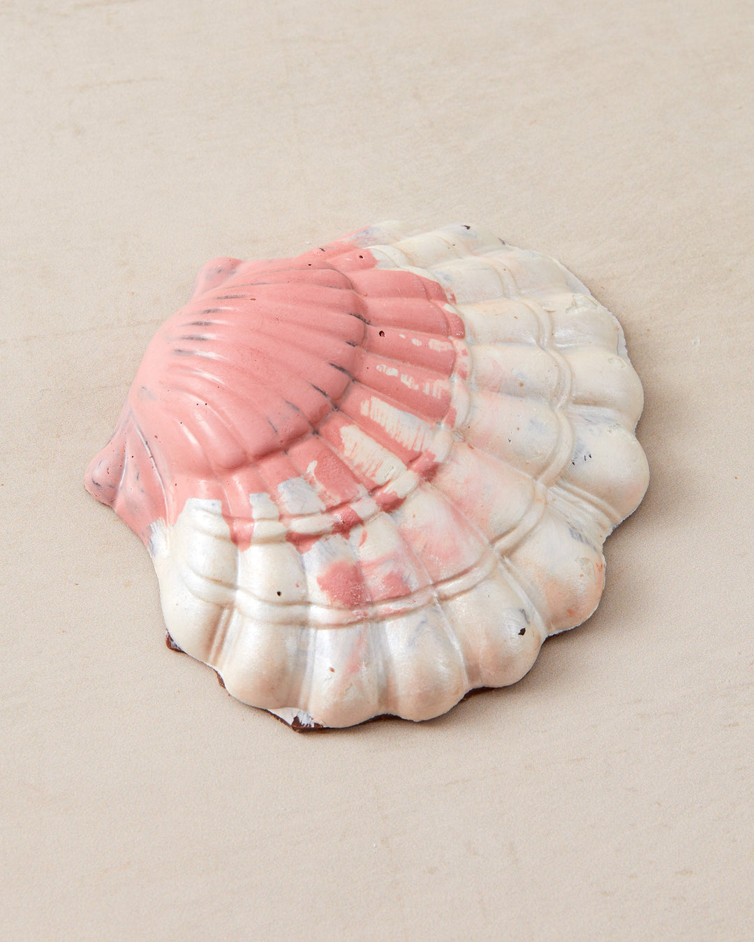 Chocolate Scallop