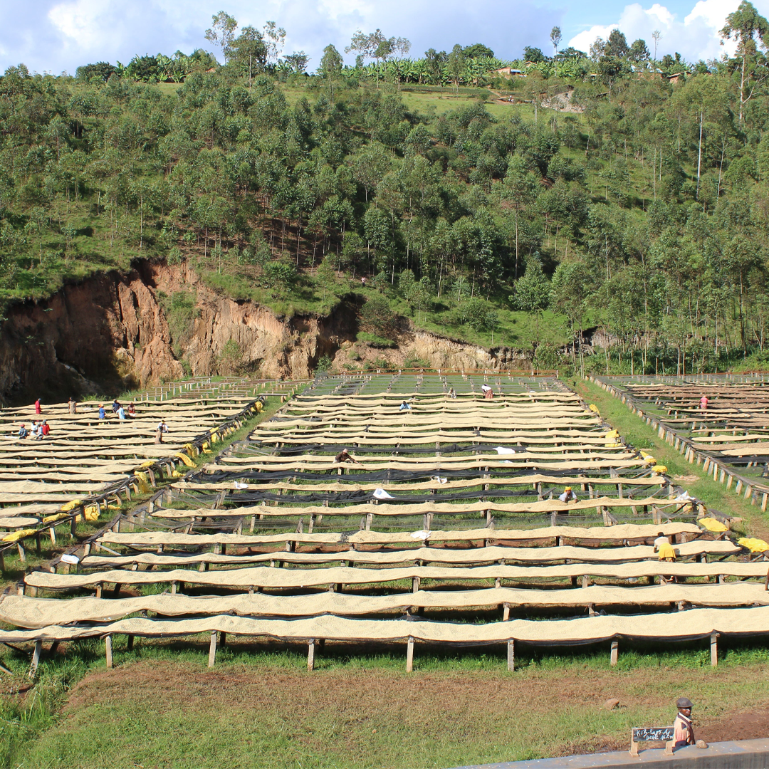 Kibingo, Burundi