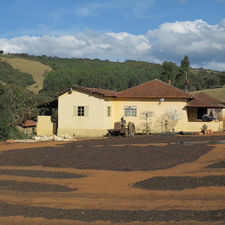 Cascavel Vermelha, Brazil