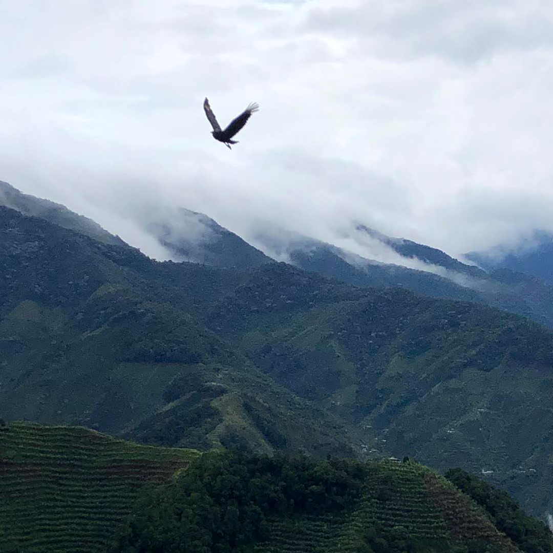 El Aguila, Colombia