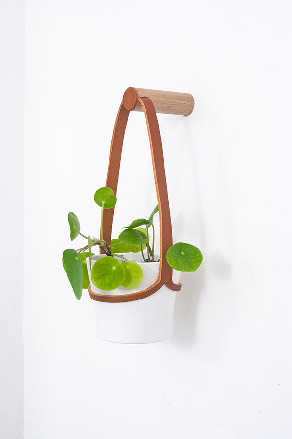 Small Peg Wall Planter Tan